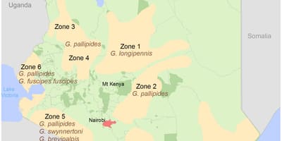 Kenya institutul de cercetare și cartografiere taxa de structura